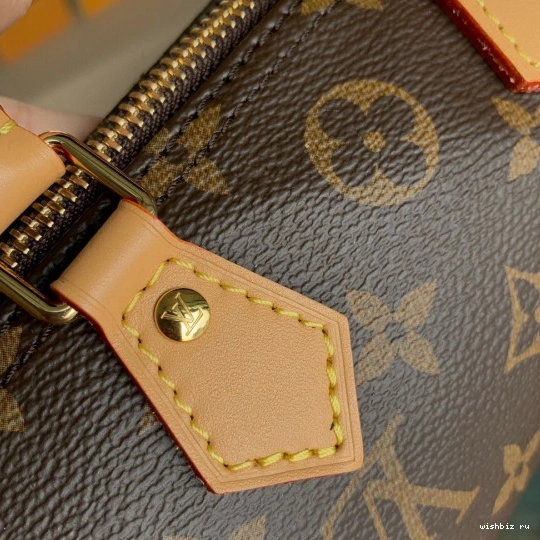 WIS VUITTON NANO LOUIS SPEEDY 0906